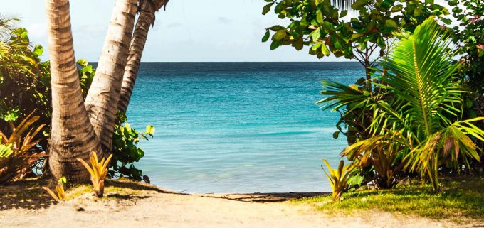 Staying safe during your summer plans
